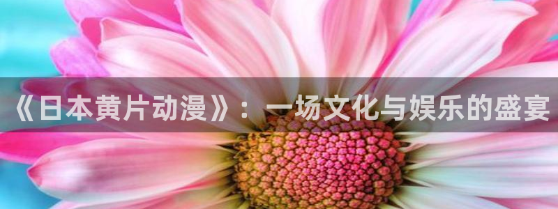 日韩动漫里番：《日本黄片动漫》：一场文化与娱乐的盛宴
