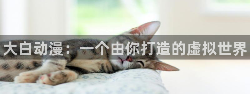 日本里番漫画：大白动漫：一个由你打造的虚拟世界