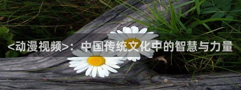 里番肉肉漫画：<动漫视频>：中国传统文化中的智慧与力量