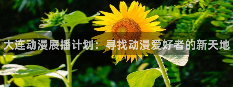 樱花动漫里番动漫：大连动漫展播计划：寻找动漫爱好者的新天地