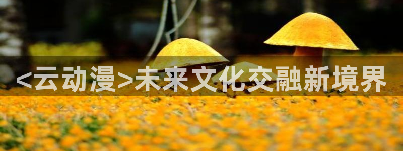 可以看里番的动漫网站：<云动漫>未来文化交融新境界