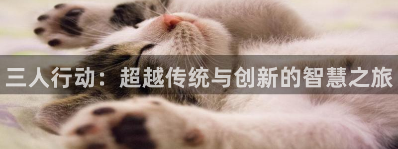 动漫里番网站：三人行动：超越传统与创新的智慧之旅