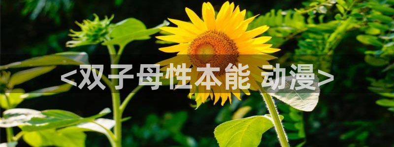 可以看里番的动漫网站：<双子母性本能 动漫>