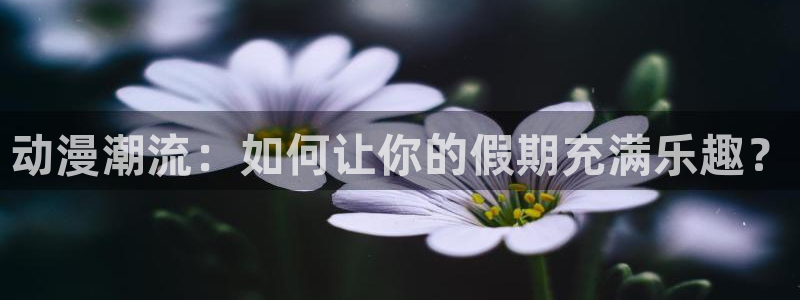 扶她里番动漫：动漫潮流：如何让你的假期充满乐趣？