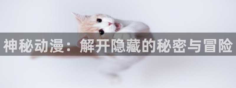 里番动漫全集：神秘动漫：解开隐藏的秘密与冒险