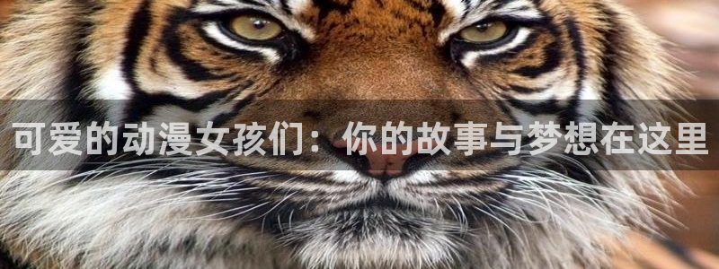 里番动漫免费在线看：可爱的动漫女孩们：你的故事与梦想在这里