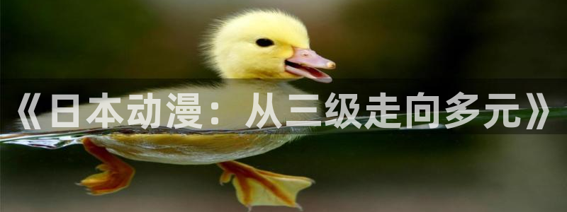 里番漫：《日本动漫：从三级走向多元》