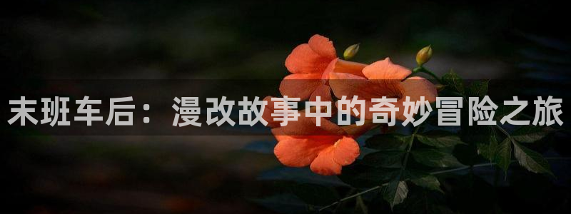 类似黑兽里番的动漫：末班车后：漫改故事中的奇妙冒险之旅