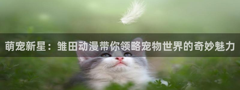 里番动漫视频观看：萌宠新星：雏田动漫带你领略宠物世界的奇妙魅力