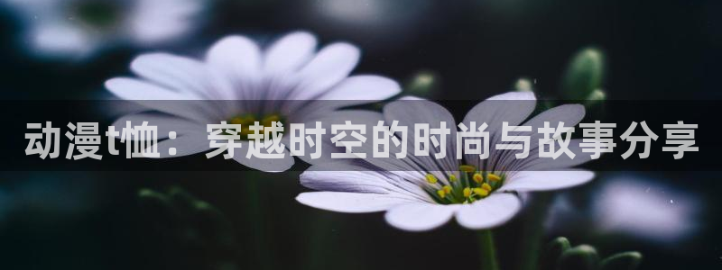 继母里番动漫：动漫t恤：穿越时空的时尚与故事分享