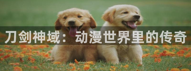 2020里番动漫：刀剑神域：动漫世界里的传奇
