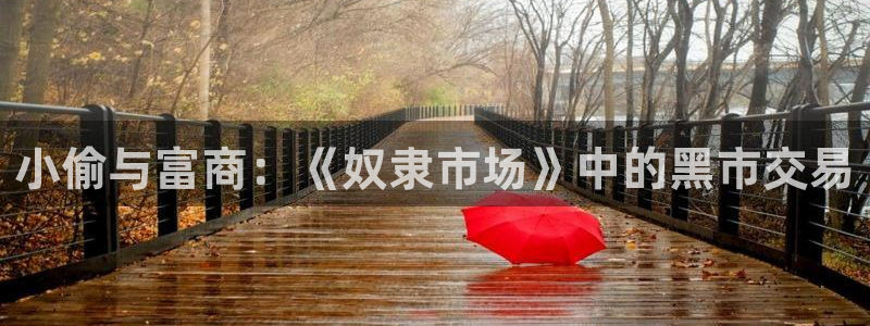 里番日本工口漫画：小偷与富商：《奴隶市场》中的黑市交易