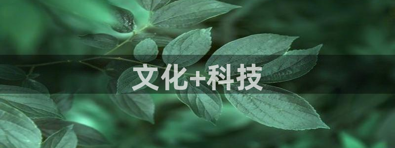 里番肉漫画：文化+科技