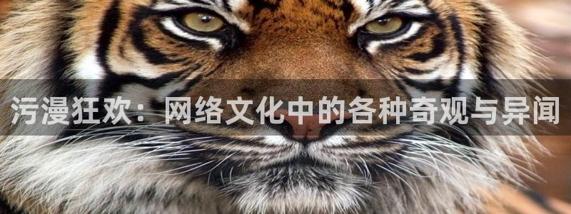 日本里番动漫网：污漫狂欢：网络文化中的各种奇观与异闻