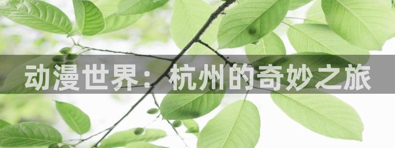 动漫里番合集：动漫世界：杭州的奇妙之旅
