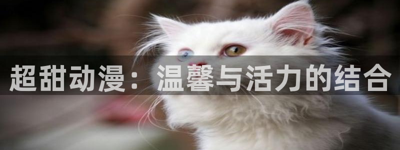 日漫里番：超甜动漫：温馨与活力的结合